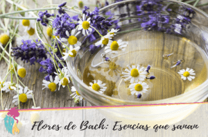 Flores en un recipiente de vidrio con agua
